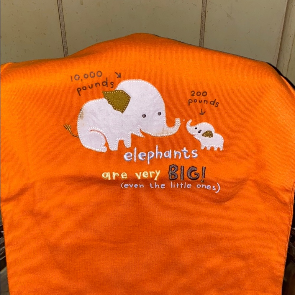 Baby Gap Elephant PJ Set